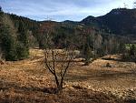 IMG_2252.jpg