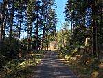 IMG_2258.jpg