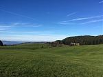 IMG_2264.jpg