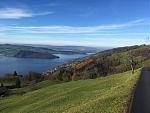 IMG_2267.jpg
