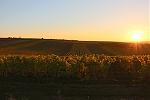 IMG_4831a.jpg