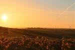 IMG_4826a.jpg