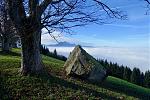 DSC03100.jpg