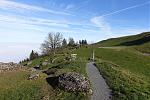 DSC03108.jpg