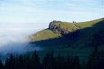 DSC03110.jpg