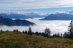DSC03134.jpg