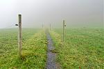 DSC03097.jpg