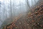 DSC03098.jpg