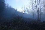 DSC03099.jpg