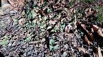 IMG-20161130-WA0002.jpeg
