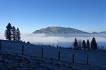 DSC03147.jpg