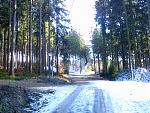Harz 004.jpg