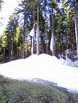 Harz 007.jpg