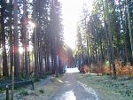 Harz 008.jpg