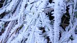 IMG_20161206_143423.jpg