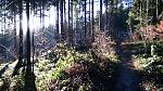 IMG_20161206_152156.jpg