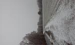 20161208_094040.jpg