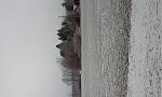 20161208_101636.jpg