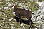 IMG_1027.JPG
