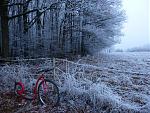 P1020976a.jpg