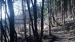 IMG_20161211_151828.jpg