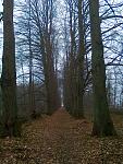 161210 Schaalsee 001.jpg