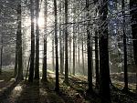 IMG_2319.jpg