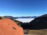 IMG_2328.jpg