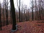P1020984a.jpg