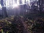 20170101_132935.jpg