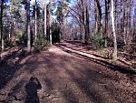 20170101_141050.jpg