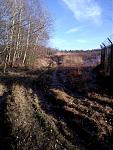 20170101_143920.jpg