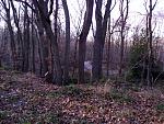 20170101_144117.jpg