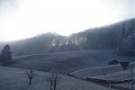 DSC03198.jpg