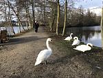 IMG_6942_1.jpg