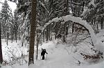 IMG_4076.JPG