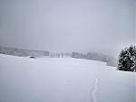 IMG_20170108_154549-01.jpeg
