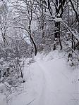 IMG_20170108_161528.jpg
