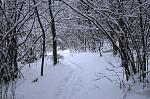 IMG_1184.JPG