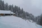 IMG_1192.JPG