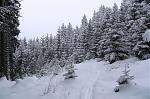 IMG_1193.JPG