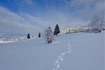 DSC03279.jpg