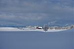 DSC03280.jpg