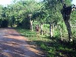 IMAG0009.JPG
