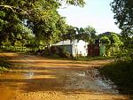 IMAG0010.JPG