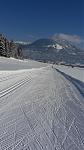 20170118_122956a.jpg