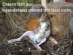 Osterhasi kaputt.jpg