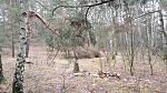 20170219_112953.jpg