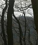 IMG-20170311-WA0005.jpg