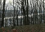 IMG-20170311-WA0008.jpg